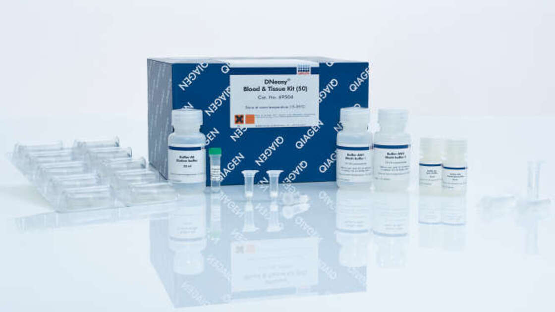 Kit DNeasy Blood & Tissue Qiagen: O que &eacute;, para que serve e como usar