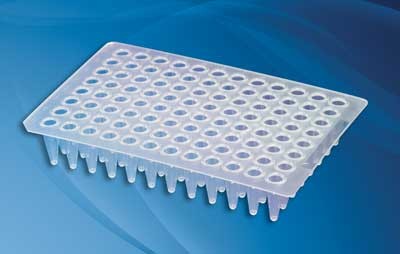 Guia Completo: Placas de 96 Po&ccedil;os para PCR Axygen (PCR-96-FLT-C e PCR-96M2-HS-C)