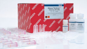 Qiagen 74104