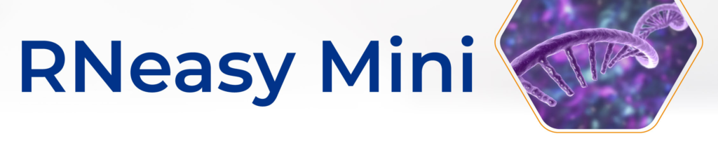 RNeasy Mini Kit, Extração de RNA, QIA74104, QIA74106